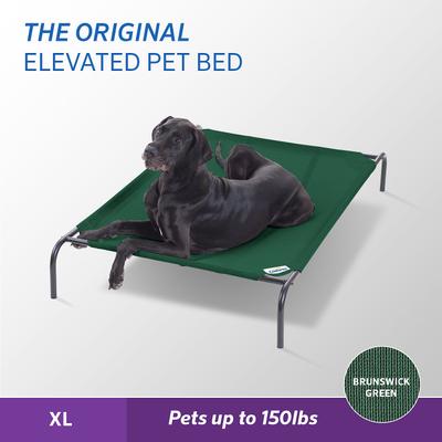 Show full view: Coolaroo Steel-Framed Elevated Dog Bed, Brunswick Green, X-Large slide 8 of 10