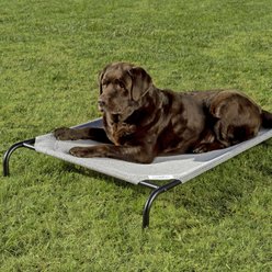 Coolaroo Steel-Framed Elevated Dog Bed, Grey, Large