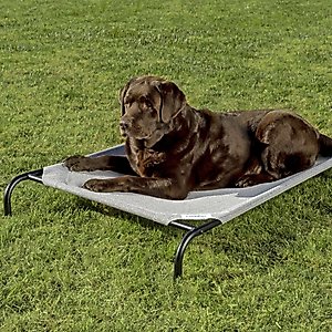 Coolaroo Steel-Framed Elevated Dog Bed, Grey, Large