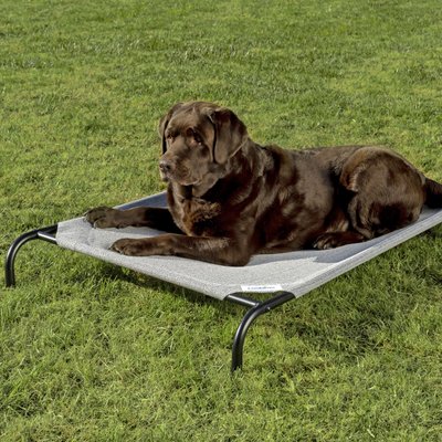 Coolaroo Coolaroo Steel-Framed Elevated Dog Bed, Grey, Large