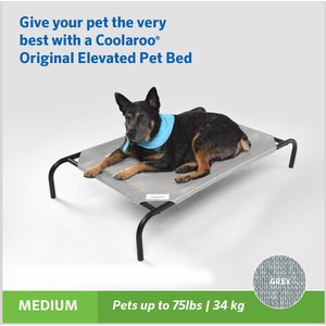 Coolaroo Steel-Framed Elevated Dog Bed, Grey, Medium