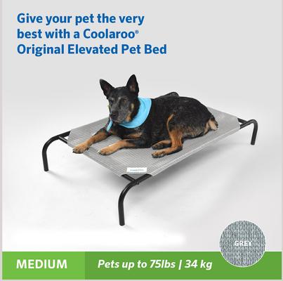 Show full view: Coolaroo Steel-Framed Elevated Dog Bed, Grey, Medium slide 5 of 10