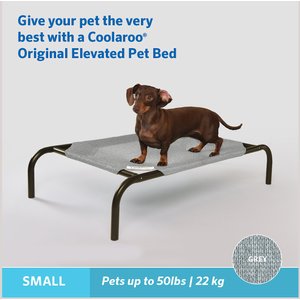 Coolaroo Steel-Framed Elevated Dog Bed, Grey, Small