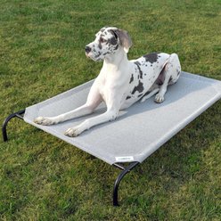 Coolaroo Steel-Framed Elevated Dog Bed, Grey, X-Large slide 1 of 8