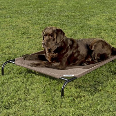 Coolaroo Coolaroo Steel-Framed Elevated Dog Bed, Nutmeg, Large
