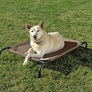 Coolaroo Steel-Framed Elevated Dog Bed, Nutmeg, Medium