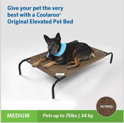 Show full view: Coolaroo Steel-Framed Elevated Dog Bed, Nutmeg, Medium slide 5 of 10