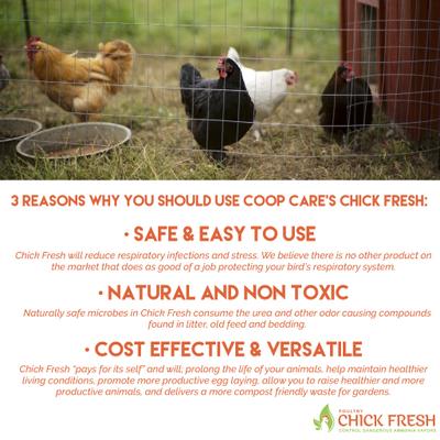 Show full view: Coop Care Chick Fresh Odor Control Concentrate, 4-oz bottle slide 9 of 10