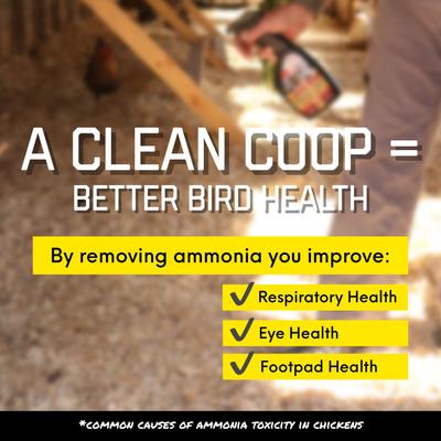 Show full view: Coop Care Chick Fresh Odor Control Concentrate, 4-oz bottle slide 6 of 10