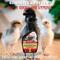 Show in main carousel: Coop Care Chick Fresh Odor Control Spray, 24-oz bottle slide 2 of 10