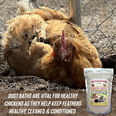 Show full view: Coop Care Chicken's Choice Natural Volcanic Ash Chicken Dust Bath, 6-lb bag slide 6 of 11