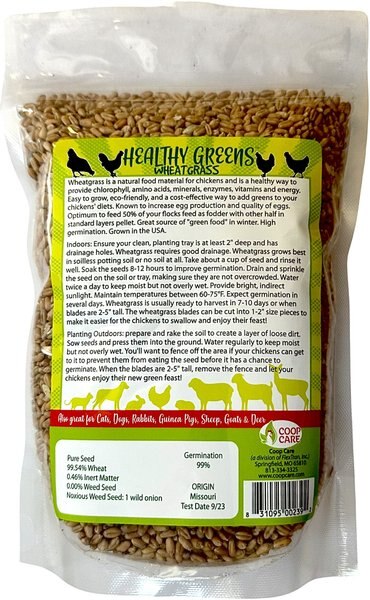 Coop Care Healthy Greens Wheatgrass Fodder Chicken Feed, 16-oz pouch