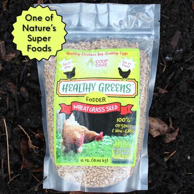 Show full view: Coop Care Healthy Greens Wheatgrass Fodder Chicken Feed, 16-oz pouch slide 7 of 10