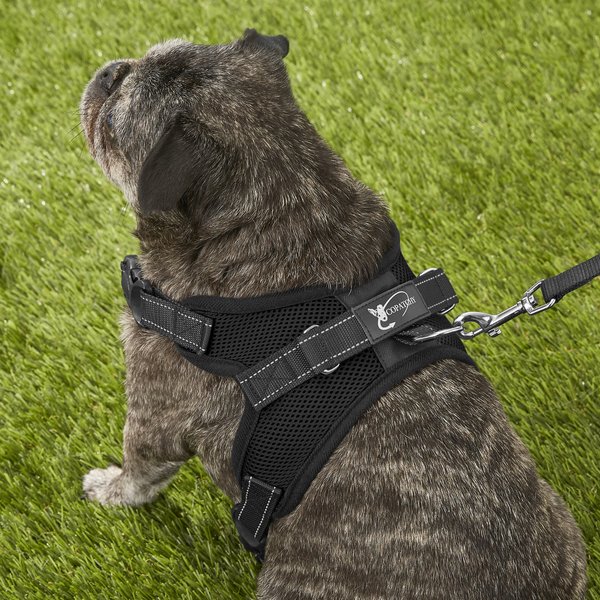 Stop My Joytale Dog Harness Medium No Pull Harness For Dogs With