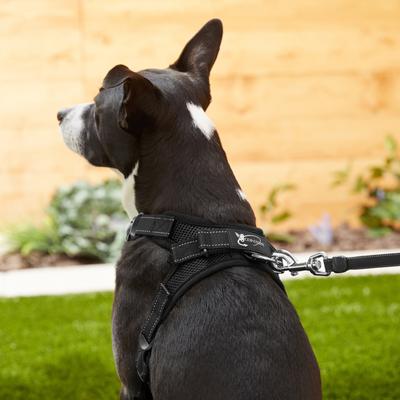Show full view: Copatchy No-Pull Reflective Adjustable Dog Harness, Black, Small slide 5 of 9