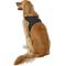 Show in main carousel: Copatchy No-Pull Reflective Adjustable Dog Harness, Black, X-Large slide 4 of 10