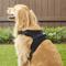 Show in main carousel: Copatchy No-Pull Reflective Adjustable Dog Harness, Black, X-Large slide 6 of 10
