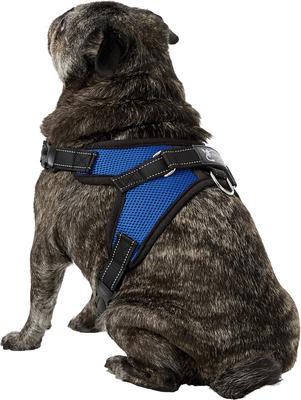 Show full view: Copatchy No-Pull Reflective Adjustable Dog Harness, Blue, Medium slide 5 of 11
