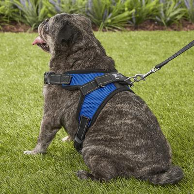 Show full view: Copatchy No-Pull Reflective Adjustable Dog Harness, Blue, Medium slide 6 of 11