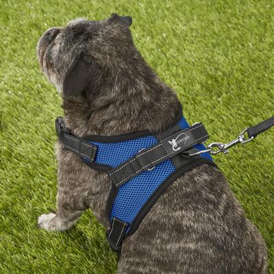 Show full view: Copatchy No-Pull Reflective Adjustable Dog Harness, Blue, Medium slide 7 of 11