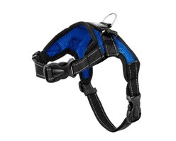 Copatchy No-Pull Reflective Adjustable Dog Harness, Blue, Small
