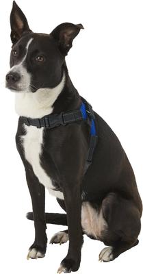Show full view: Copatchy No-Pull Reflective Adjustable Dog Harness, Blue, Small slide 3 of 9