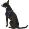 Show in main carousel: Copatchy No-Pull Reflective Adjustable Dog Harness, Blue, Small slide 4 of 9