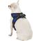 Show in main carousel: Copatchy No-Pull Reflective Adjustable Dog Harness, Blue, X-Small slide 4 of 9