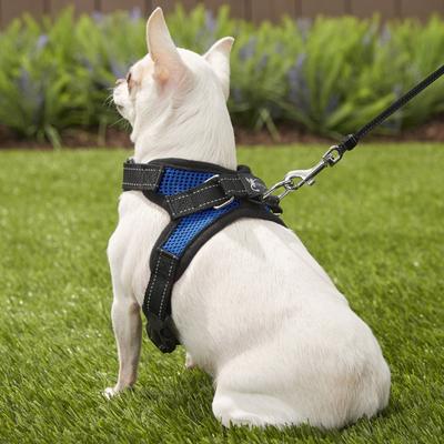 Show full view: Copatchy No-Pull Reflective Adjustable Dog Harness, Blue, X-Small slide 5 of 9