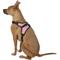 Show in main carousel: Copatchy No-Pull Reflective Adjustable Dog Harness, Pink, Large slide 4 of 10