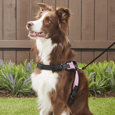Show full view: Copatchy No-Pull Reflective Adjustable Dog Harness, Pink, Large slide 5 of 10