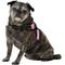 Show in main carousel: Copatchy No-Pull Reflective Adjustable Dog Harness, Pink, Medium slide 3 of 10