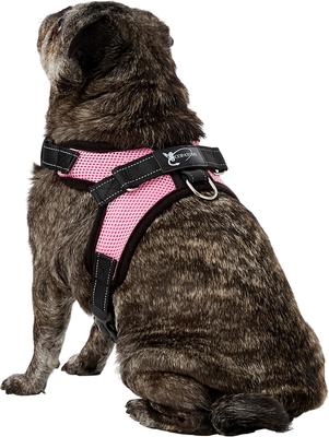 Show full view: Copatchy No-Pull Reflective Adjustable Dog Harness, Pink, Medium slide 4 of 10