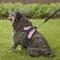 Show in main carousel: Copatchy No-Pull Reflective Adjustable Dog Harness, Pink, Medium slide 5 of 10