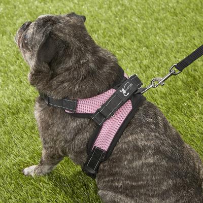 Show full view: Copatchy No-Pull Reflective Adjustable Dog Harness, Pink, Medium slide 6 of 10