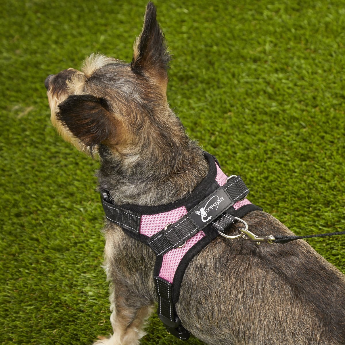 Copatchy No-Pull Reflective Adjustable Dog Harness