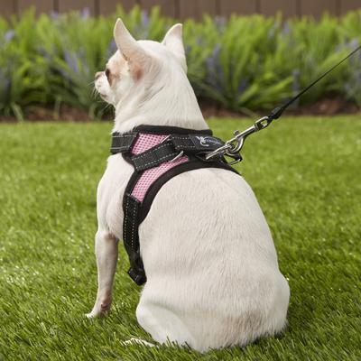 Show full view: Copatchy No-Pull Reflective Adjustable Dog Harness, Pink, X-Small slide 5 of 9