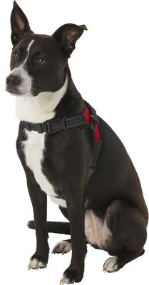Show full view: Copatchy No-Pull Reflective Adjustable Dog Harness, Red, Small slide 4 of 10