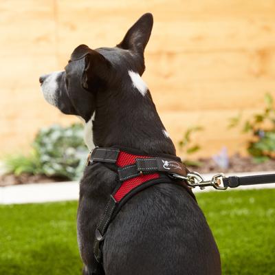 Show full view: Copatchy No-Pull Reflective Adjustable Dog Harness, Red, Small slide 6 of 10