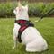 Show in main carousel: Copatchy No-Pull Reflective Adjustable Dog Harness, Red, X-Small slide 6 of 10
