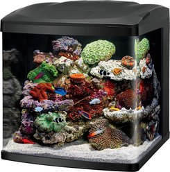Coralife LED BioCube Aquarium Kit, 32-gal