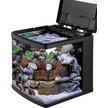 CORALIFE LED BioCube Aquarium Kit, 32-gal - Chewy.com