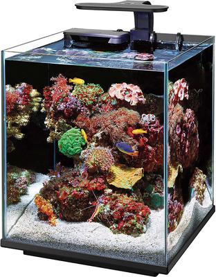 Show full view: Coralife Marine Aquarium Clip-On LED Light slide 7 of 10