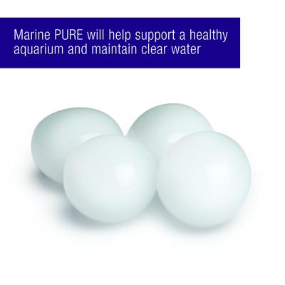 Show full view: Coralife Marine PURE Water Care Bacteria Supplement, 4 pack slide 5 of 11