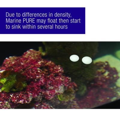 Show full view: Coralife Marine PURE Water Care Bacteria Supplement, 4 pack slide 6 of 11