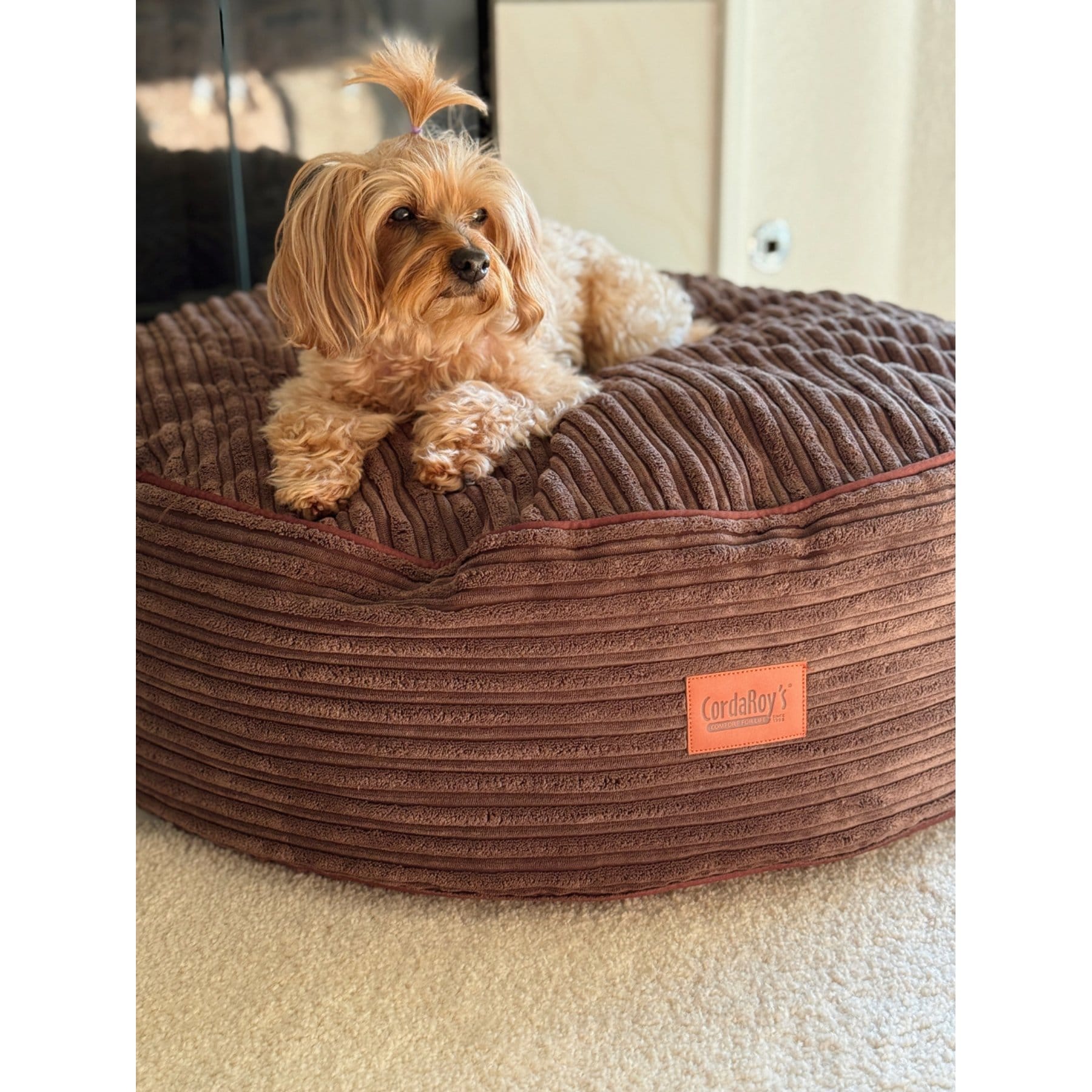 Cordaroys Forever Terry Corduroy Dog Bed, Brown, 30-in