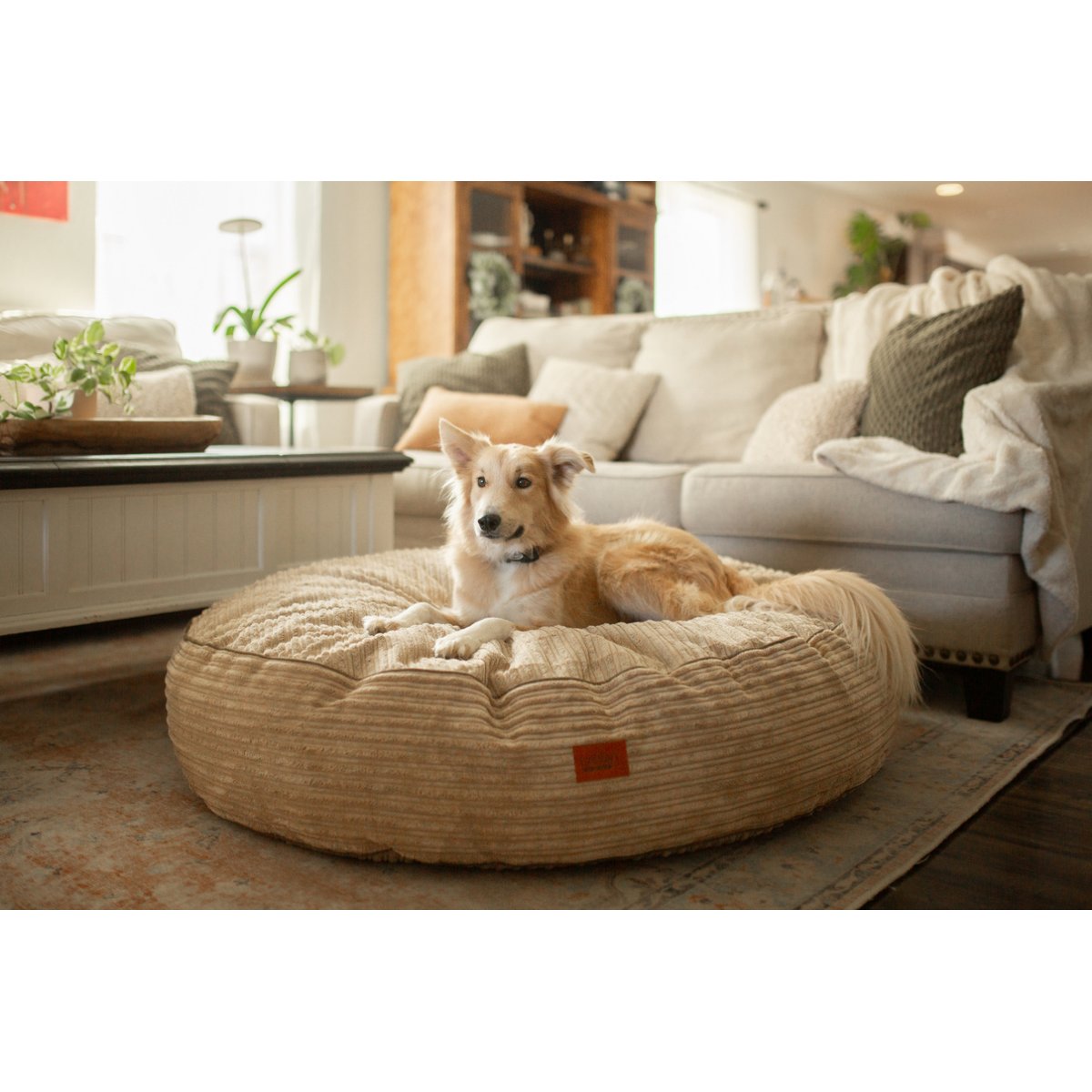 Cordaroys Forever Terry Corduroy Dog Bed, Khaki, 40-in