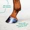 Show in main carousel: Corona Hoof & Shield Horse Spray, 8-fl oz bottle slide 4 of 4