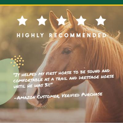 Show full view: Corta-Flx Powder Joint & Connective Tissue Support Horse Supplement, 8-lb bucket slide 7 of 7