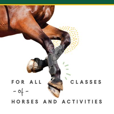 Show full view: Corta-Flx Powder Joint & Connective Tissue Support Horse Supplement, 8-lb bucket slide 5 of 7